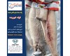 ماهی شوریده فیله وکیوم منجمد (کد200) شیلات مهدی زاده 09155159391